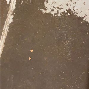 Meet your Posher, Garrett